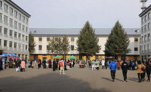 伊春职业学院爆料事件最新,真相揭开，校园乱象引发社会关注